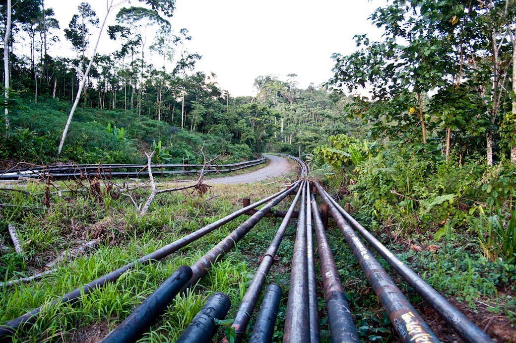 All Roads Lead to Oil: The Building of Access Roads in the Amazon